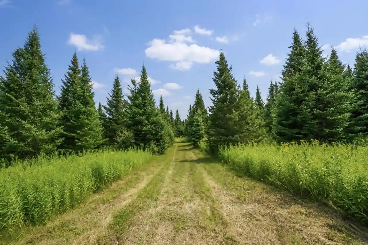 2nd image of 00 State Hwy 17, Merrill, WI 54452 | MLS# 22603895