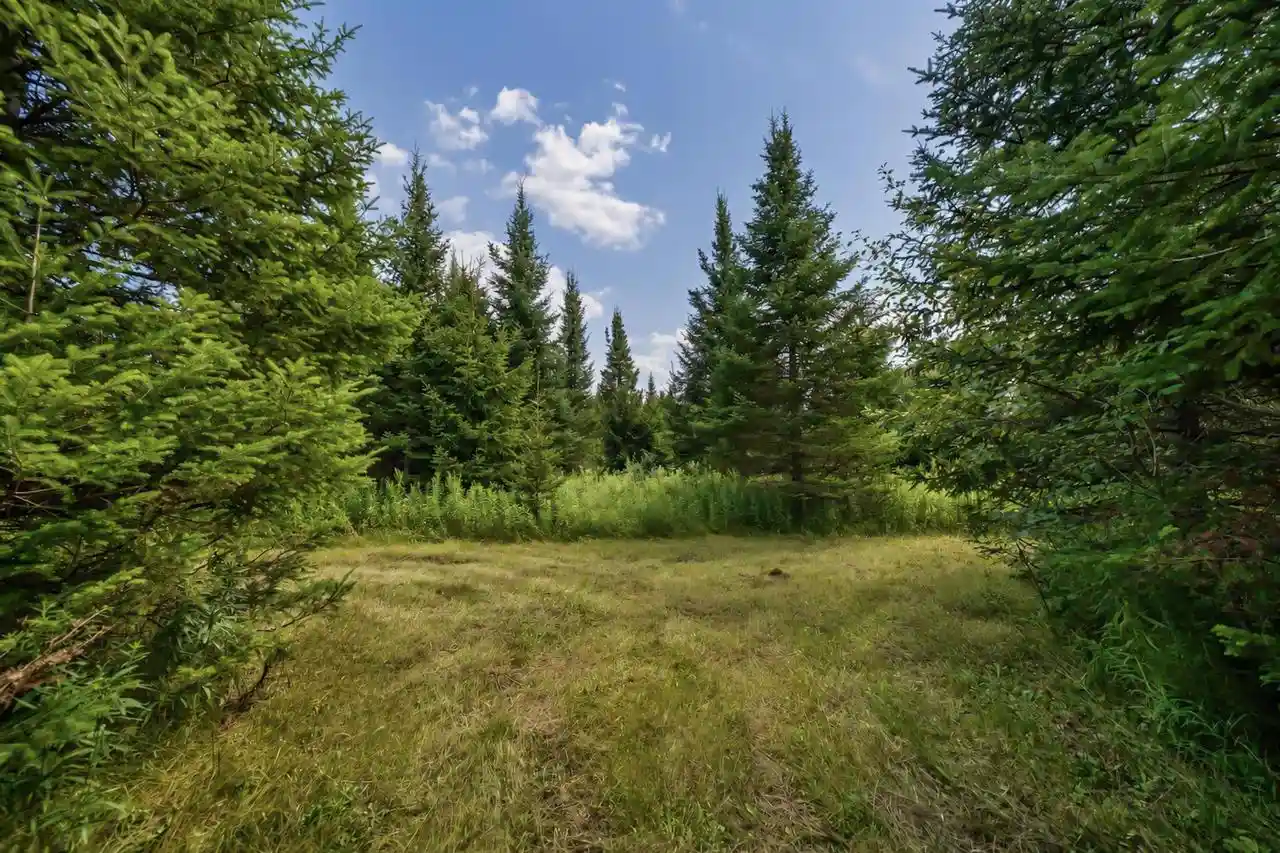 Photo 3 of Land for sale at 00 State Hwy 17, Merrill, WI 54452 | MLS# 22603895 | Listing updated on 2026-09-09