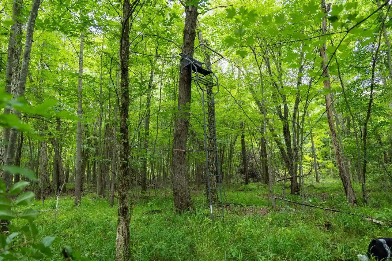 2nd image of 38+/  Acres County Rd N, Lyndon Station, WI 53944 | MLS# 2030331