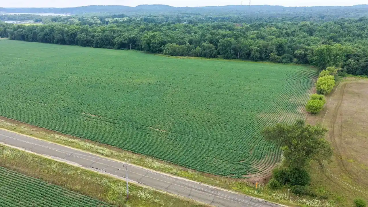 5th image of 38+/- Acres County Rd N, Lyndon Station, WI 53944 | MLS# 2030331