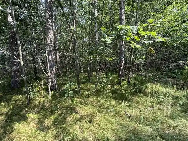 Photo 3 of Land for sale at W 32nd Road Road, Crivitz, WI 54114 | MLS# 50330901 | Listing updated on 2026-08-13