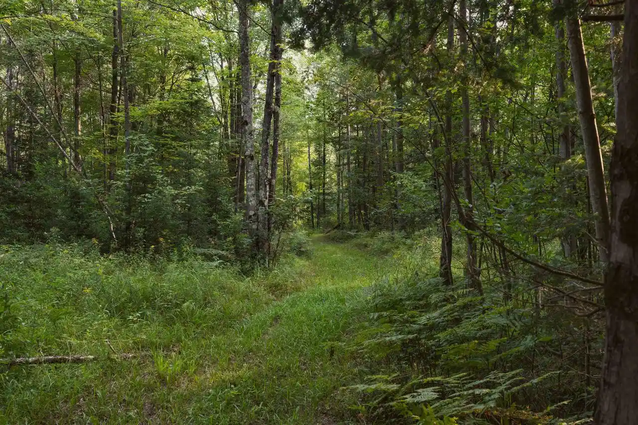 3rd image of W8605 Cranberry Trail Trail, Merrill, WI 54452 | MLS# 22603909