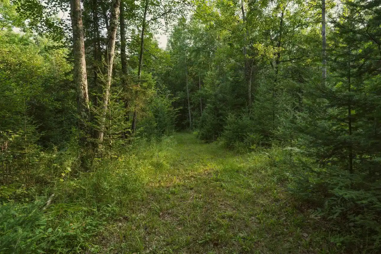 4th image of W8605 Cranberry Trail Trail, Merrill, WI 54452 | MLS# 22603909