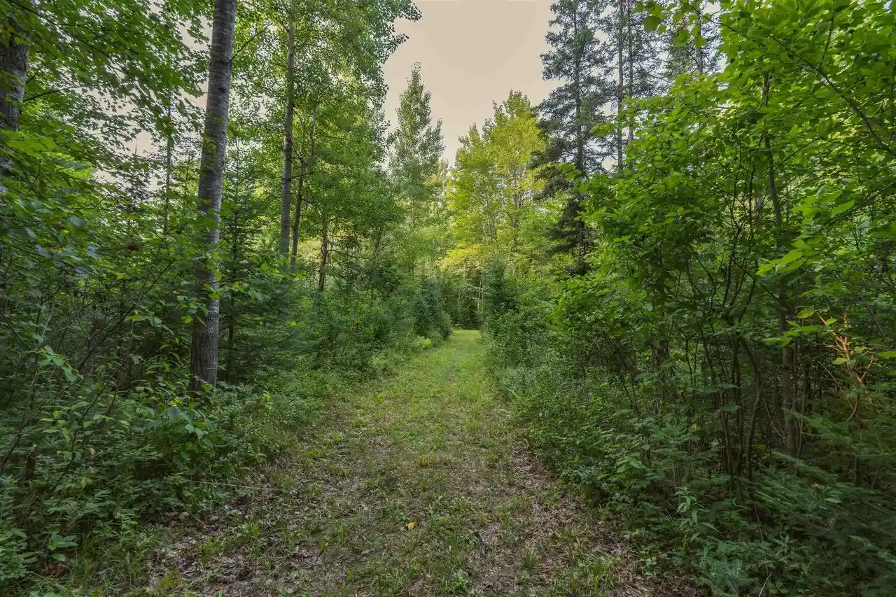 5th image of W8605 Cranberry Trail Trail, Merrill, WI 54452 | MLS# 22603909