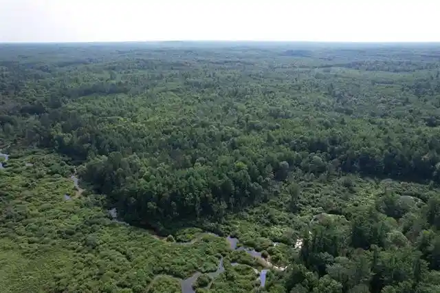 1st image of 80 Acres Copper Mine Road Road, Gordon, WI 54838 | MLS# 2030375