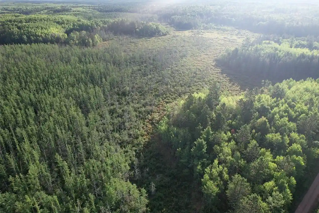 Photo 4 of Land for sale at WI | 80 Acres Copper Mine Road Road,WI 54838 | MLS# 2030375 | Listing updated on 2026-09-08