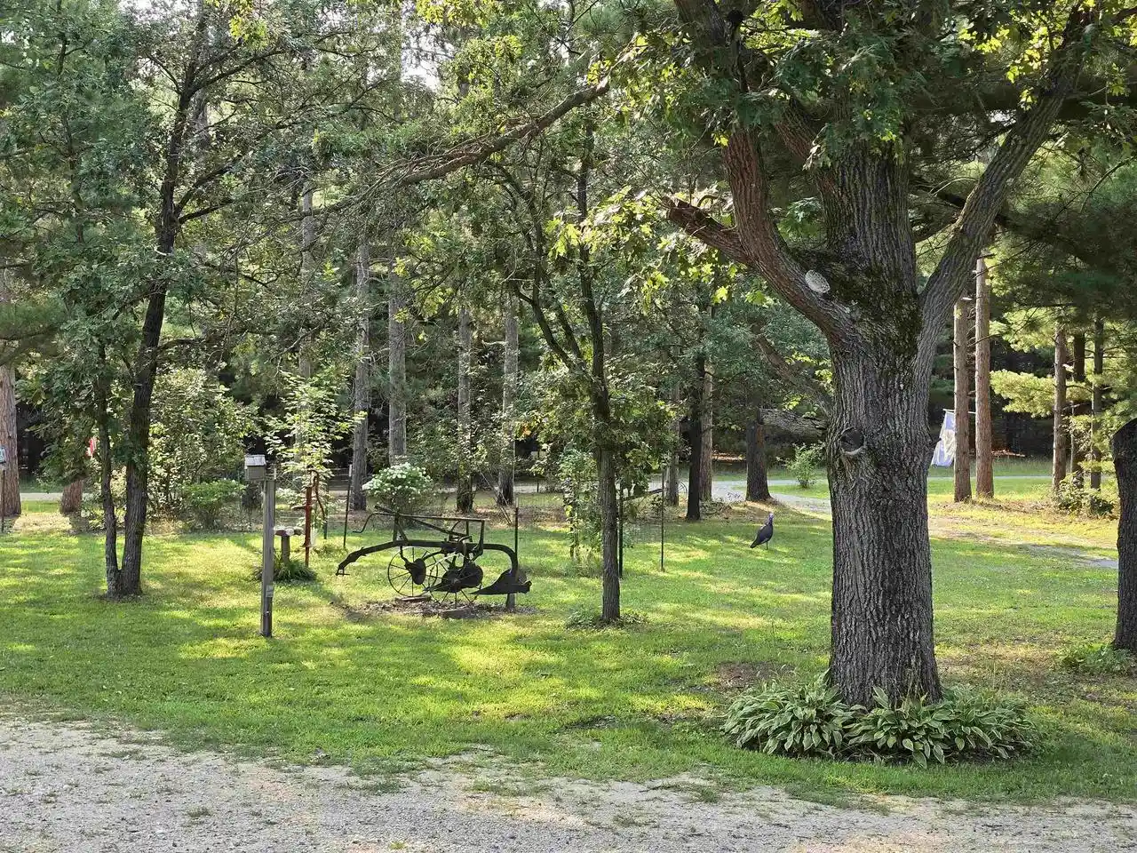 3rd image of N4980 Sand Lake Road Road, Plainfield, WI 54966 | MLS# 50330923