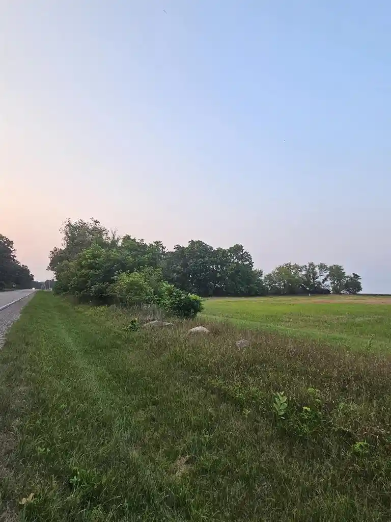 Photo 3 of Land for sale at 6539 County Road N, Bancroft, WI 54921 | MLS# 22603914 | Listing updated on 2026-09-01