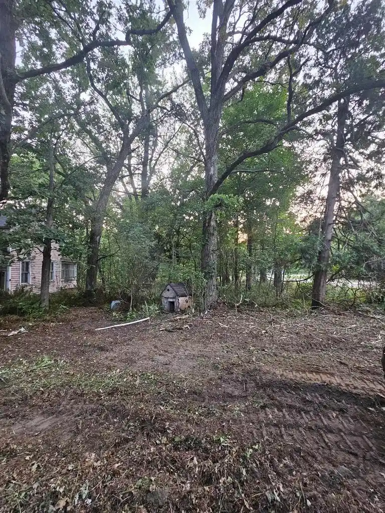 Photo 3 of Land for sale at 6539 County Road N, Bancroft, WI 54921 | MLS# 22603914 | Listing updated on 2026-09-01
