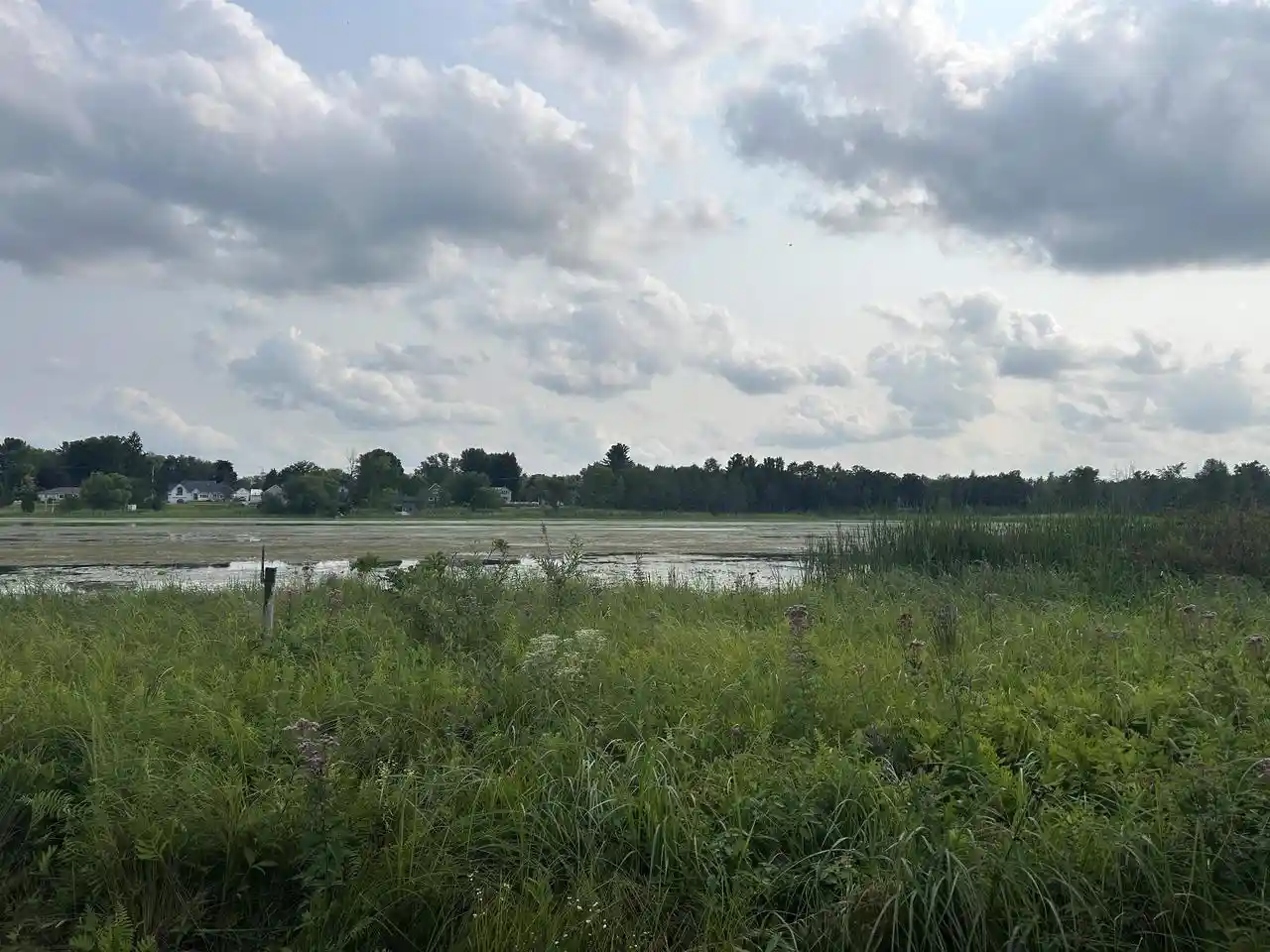 10th image of Lot 4 W Pearl Street Street, Neshkoro, WI 54960 | MLS# 2030431