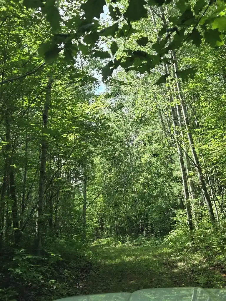 1st image of Right Of Way Road Road, Pembine, WI 54156 | MLS# 50330972