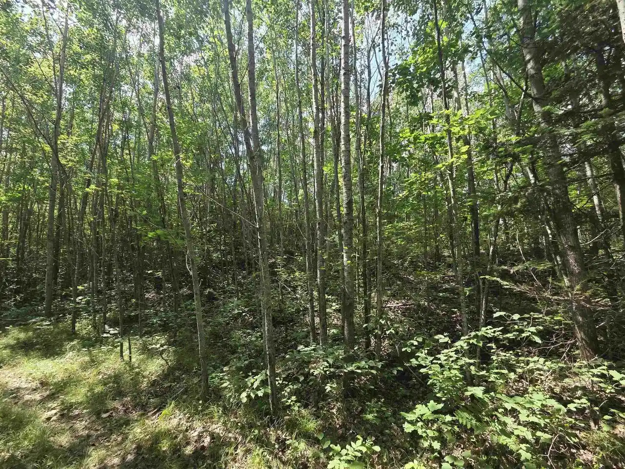 2nd image of Right Of Way Road Road, Pembine, WI 54156 | MLS# 50330972