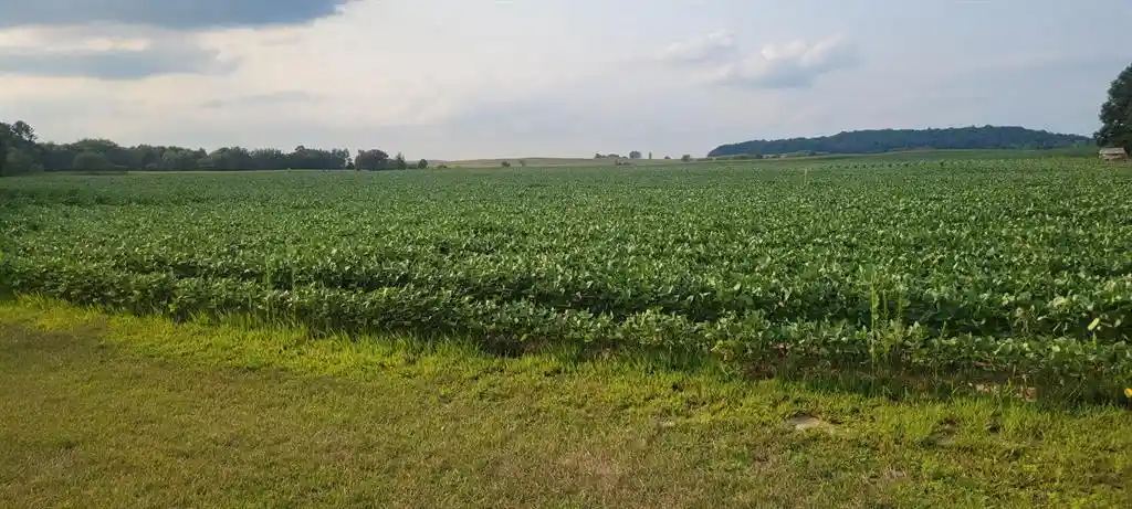 3rd image of 000 Casper Road Road, Alma Center, WI 54611 | MLS# 1604151