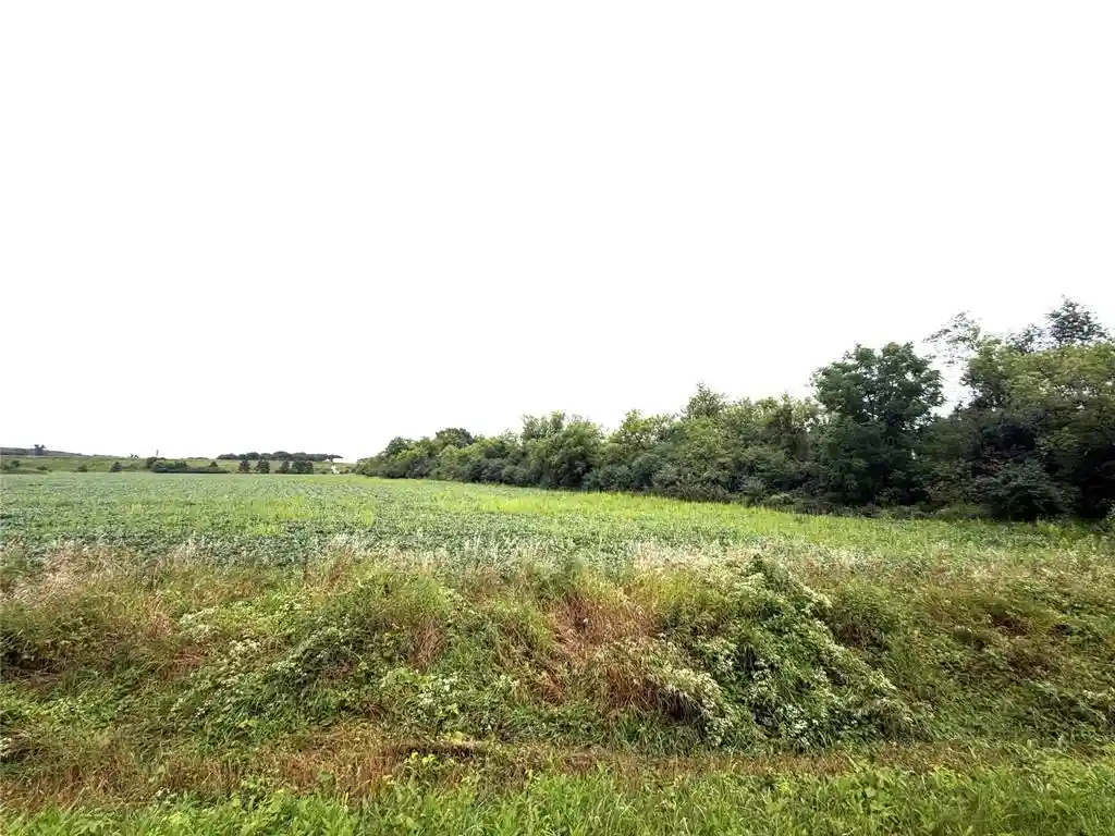 9th image of Lot 2 Van Tassel Rd, Osseo, WI 54758 | MLS# 1604181