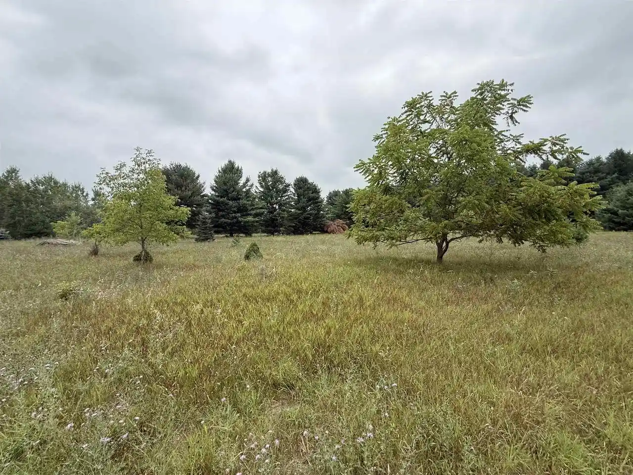 2nd image of 8846 County Road N, Almond, WI 54909 | MLS# 22603928