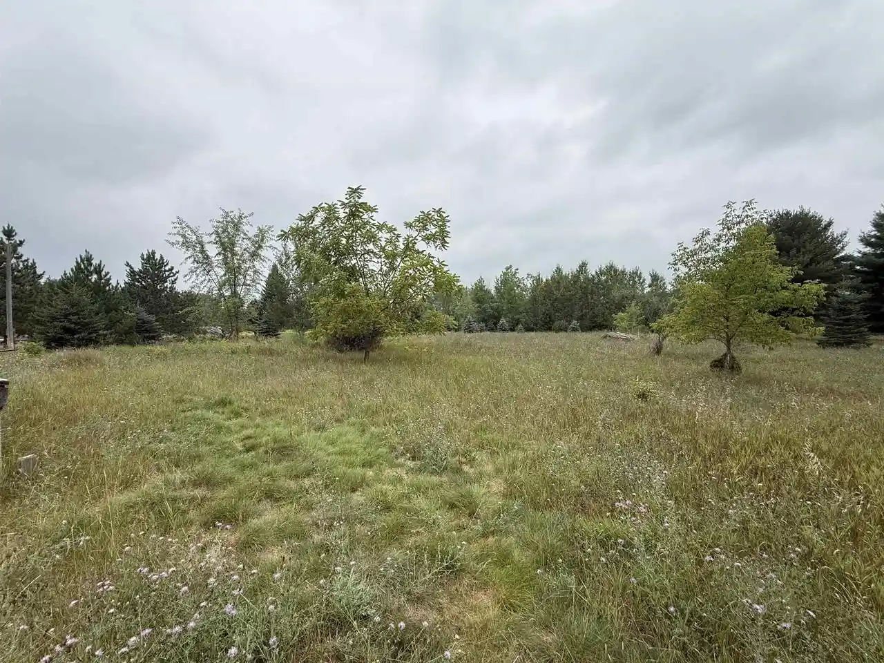 25th image of 8846 County Road N, Almond, WI 54909 | MLS# 22603928