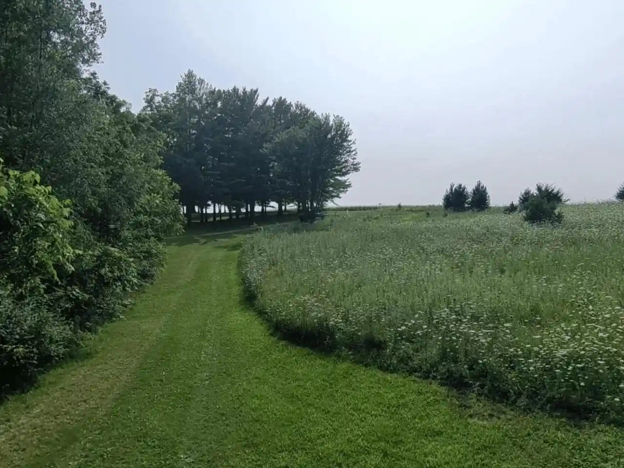 1st image of 3730 W Banfield Road Road, Potosi, WI 53820 | MLS# 2030456