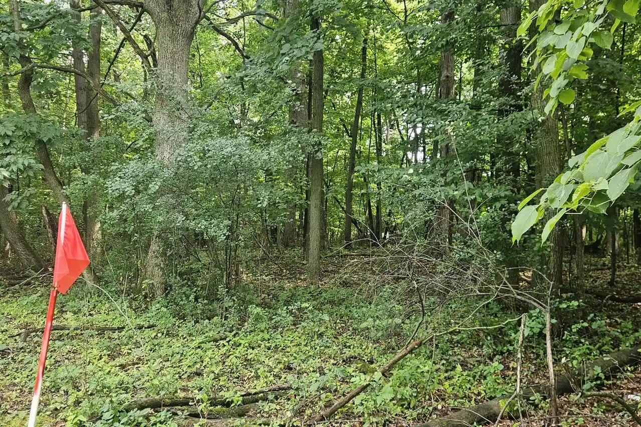 1st image of E S 42nd Street Street, Greenfield, WI 53221 | MLS# 1976003