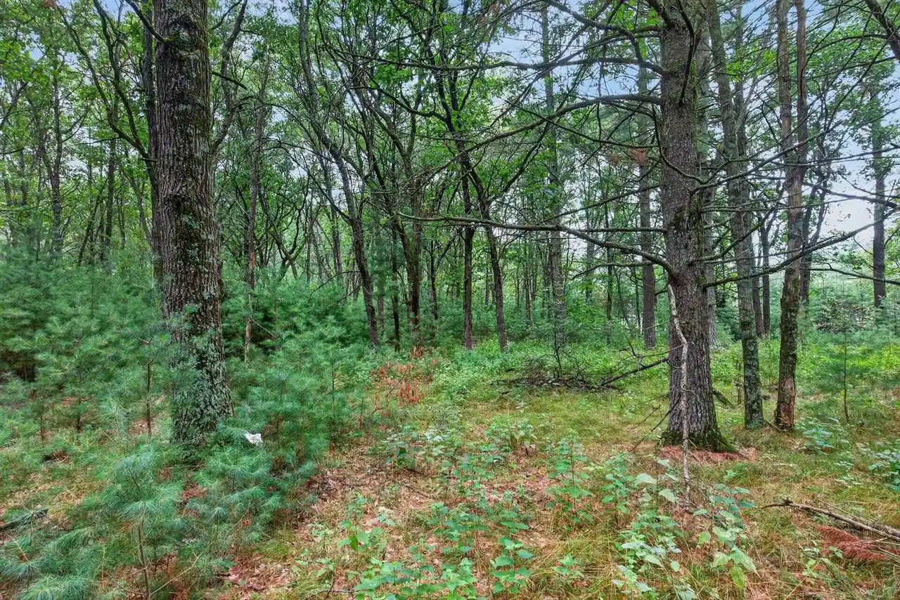 25th image of 6489 48th Street South, Wisconsin Rapids, WI 54494 | MLS# 22603935