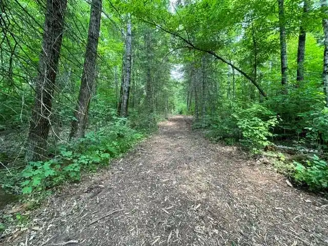 1st image of 11715n Fr 174, Hayward, WI 54843 | MLS# 1604166