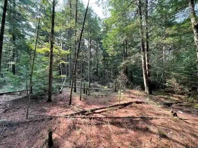 5th image of 11715N Fr 174, Hayward, WI 54843 | MLS# 1604166