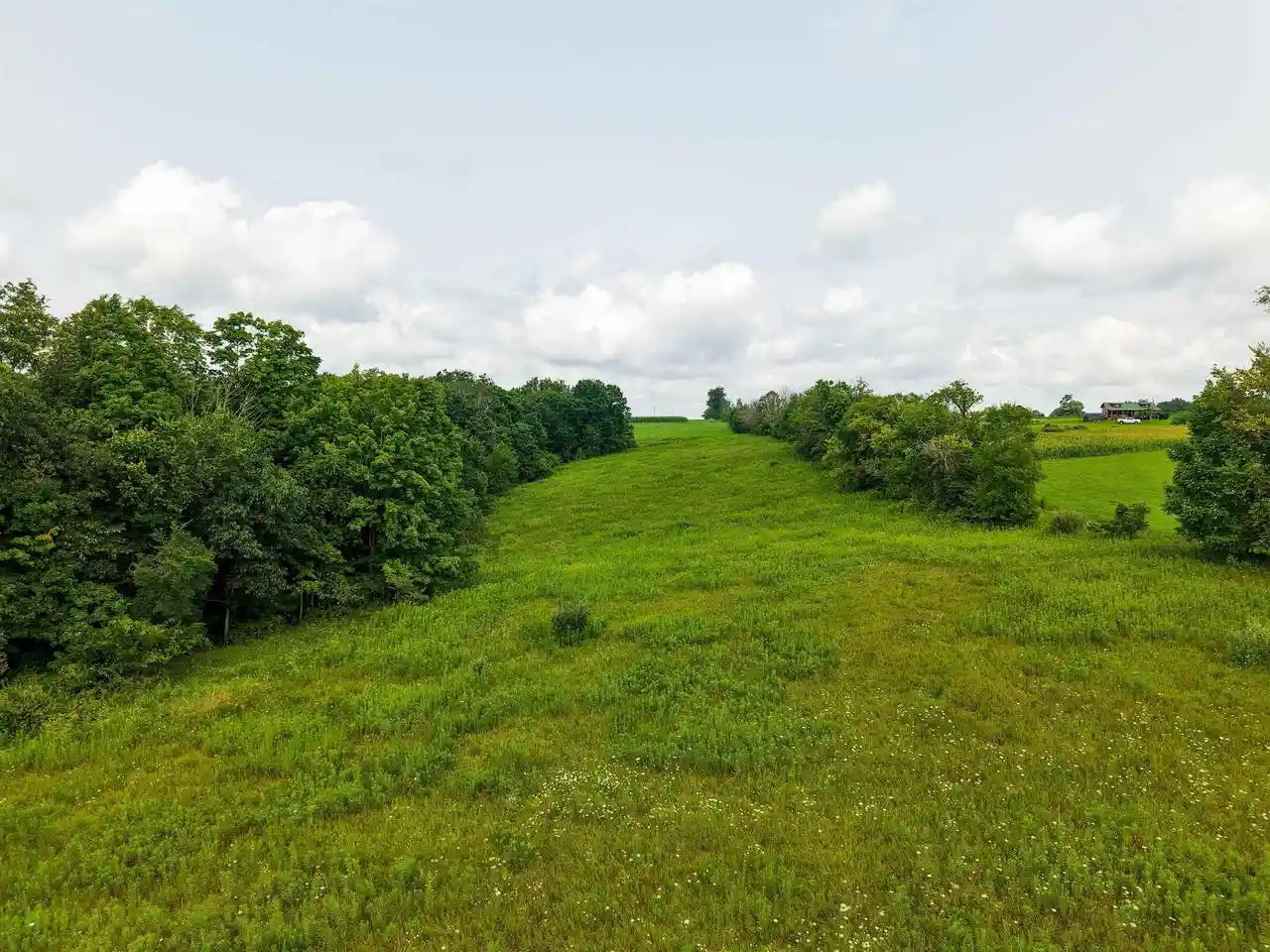 2nd image of 545+/ Ac Dayton Ridge Road Road, Richland Center, WI 53581 | MLS# 2030527