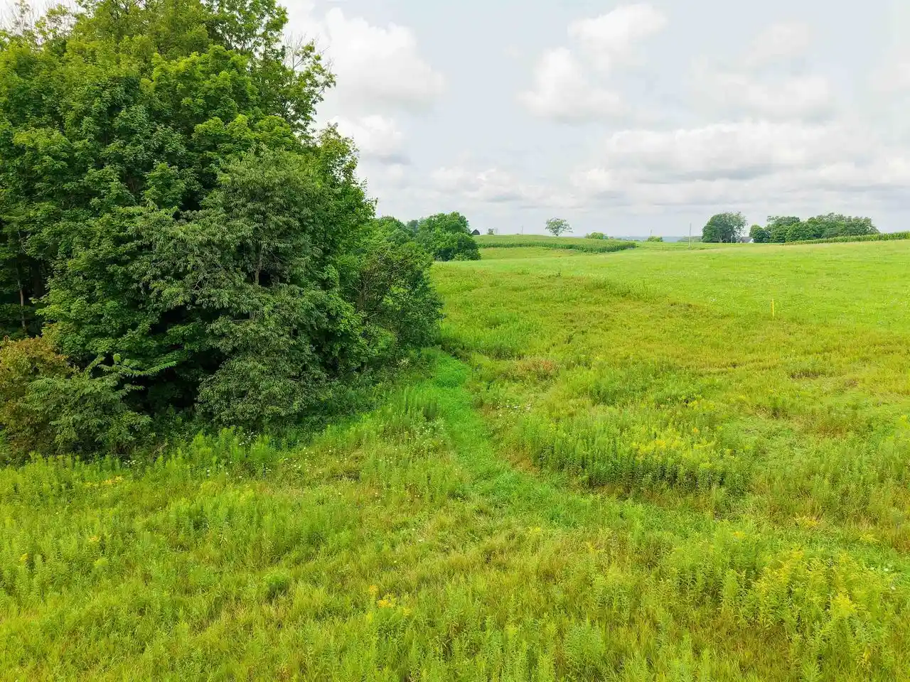 3rd image of 545+/-Ac Dayton Ridge Road Road, Richland Center, WI 53581 | MLS# 2030527