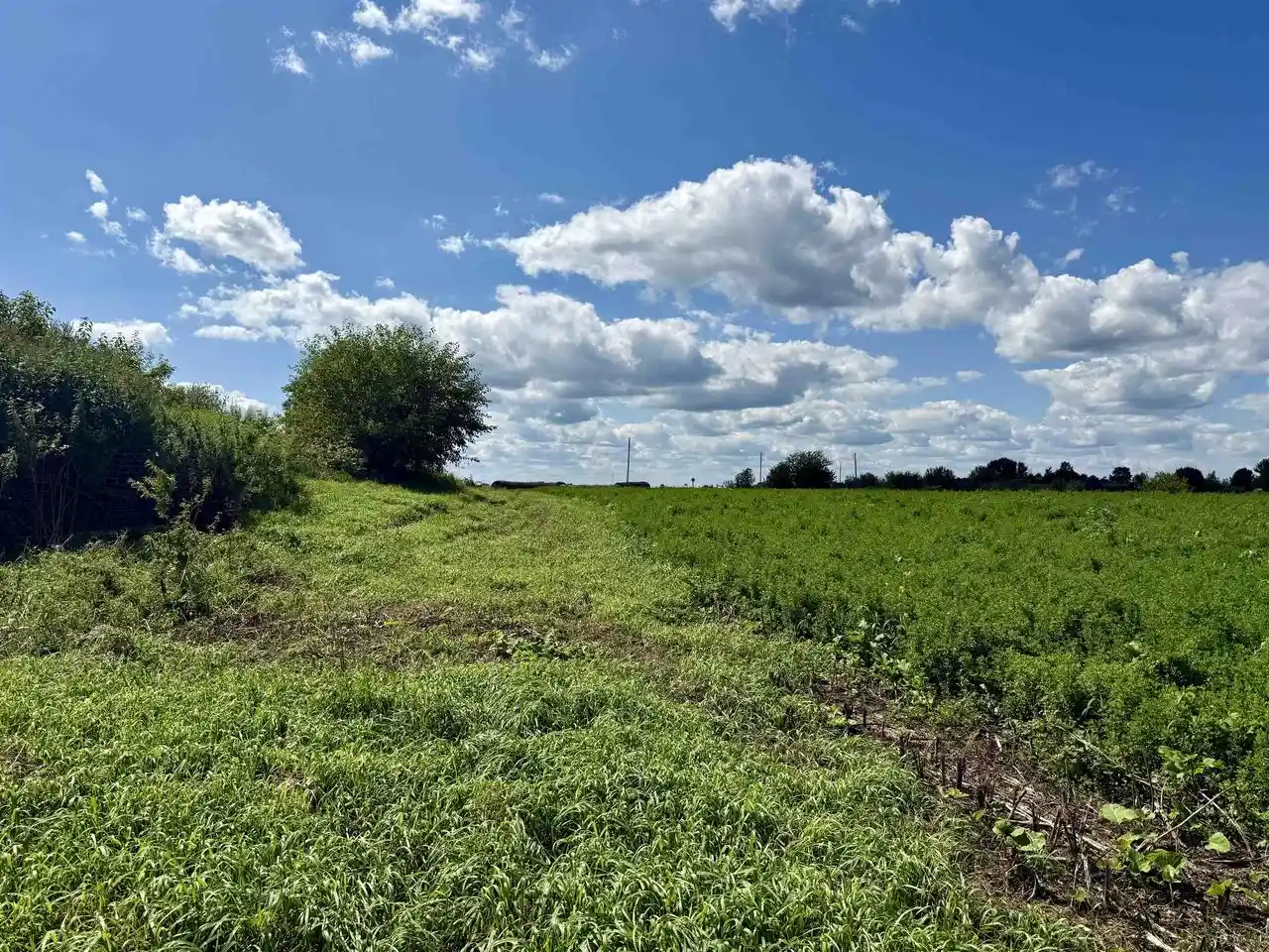 27th image of W7480 State Rd 39, New Glarus, WI 53574 | MLS# 2030519