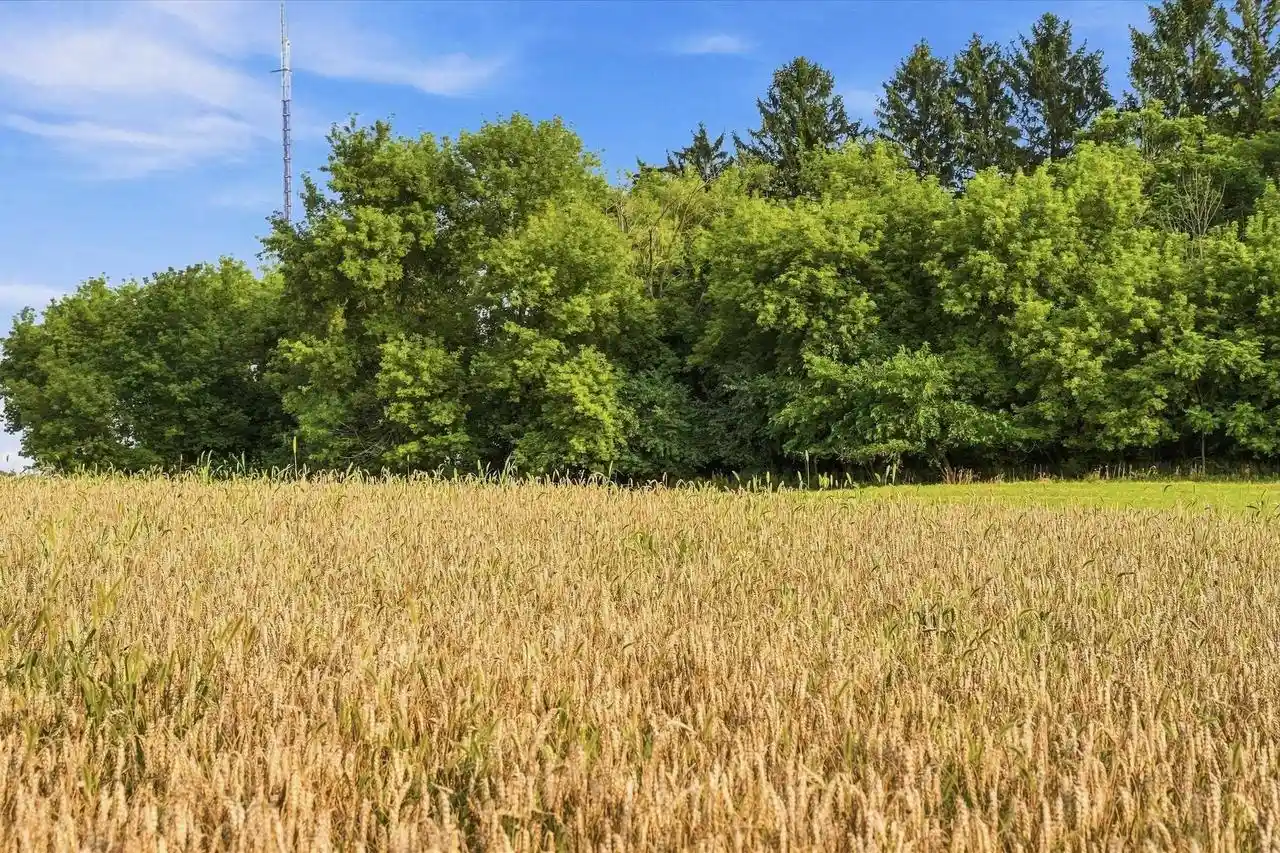 Photo 4 of Land for sale at 2322 Rusco Dr Dr, West Bend, WI 53095 | MLS# 2030516 | Listing updated on 2026-09-18
