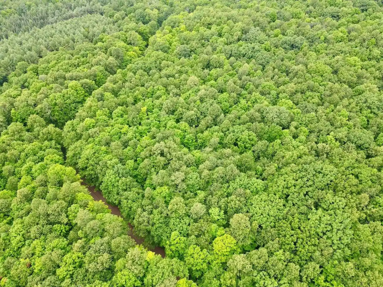 1st image of Lot 1 Crane Foot Lake Road Road, Gleason, WI 54435 | MLS# 22603952