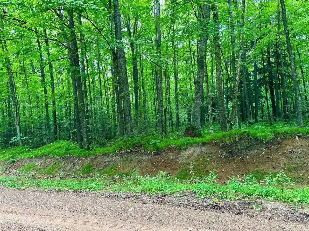 5th image of Lot 1 Crane Foot Lake Road Road, Gleason, WI 54435 | MLS# 22603952