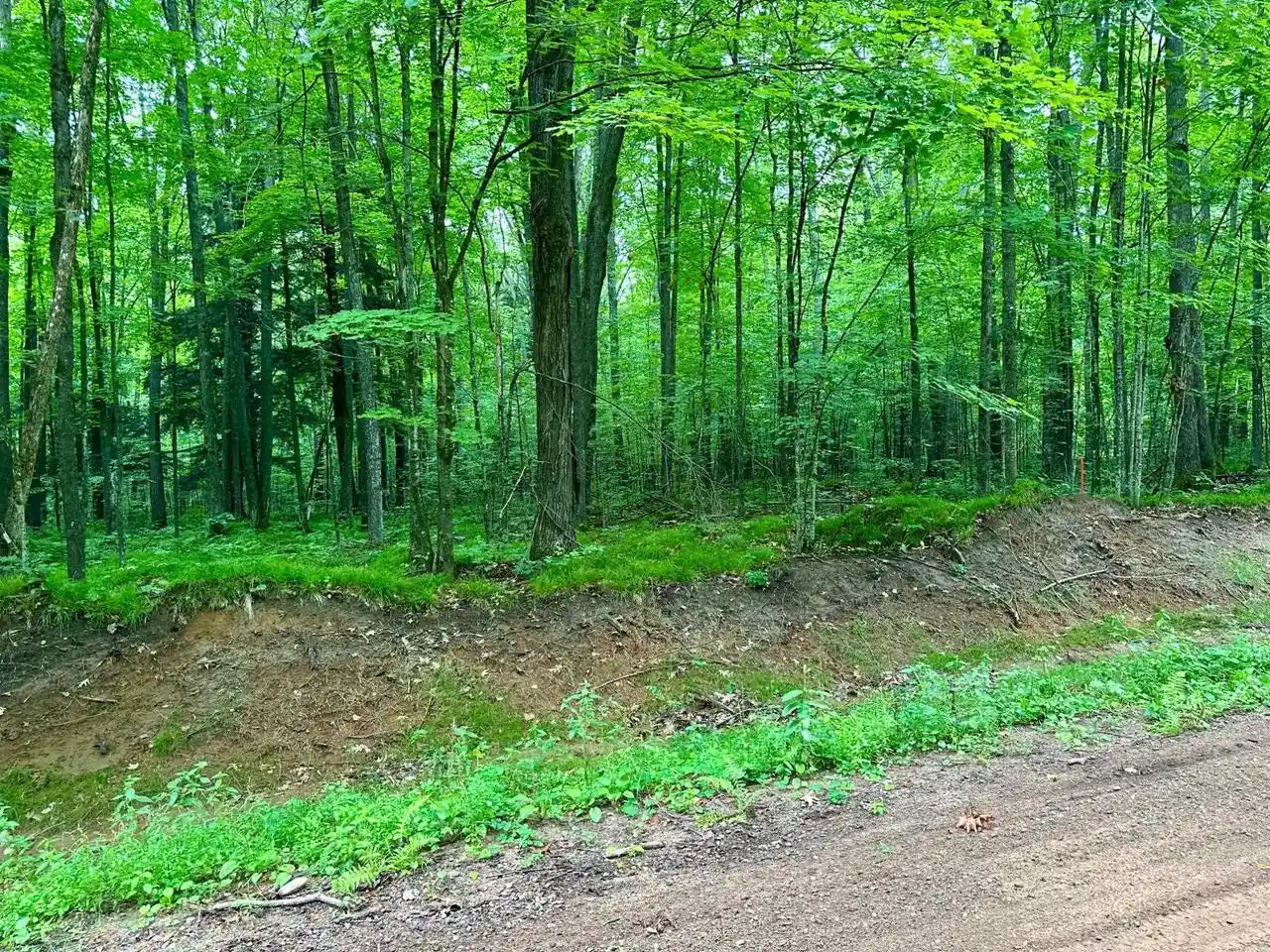 8th image of Lot 1 Crane Foot Lake Road Road, Gleason, WI 54435 | MLS# 22603952