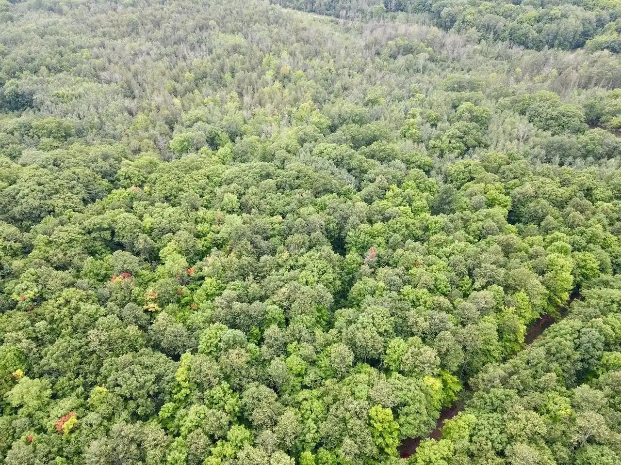 1st image of Lot 2 Crane Foot Lake Road Road, Gleason, WI 54435 | MLS# 22603953
