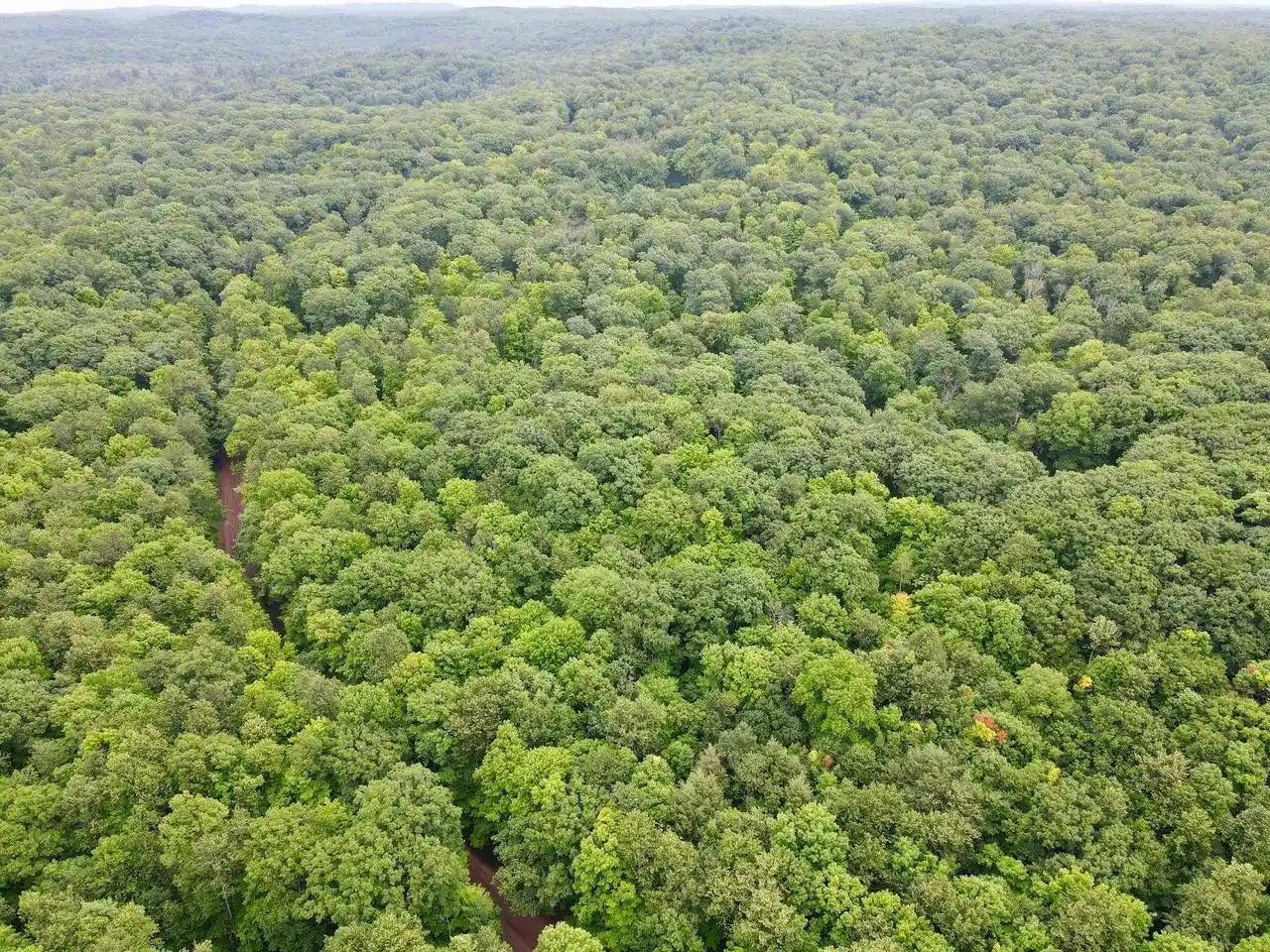 1st image of Lot 3 Crane Foot Lake Road Road, Gleason, WI 54435 | MLS# 22603954