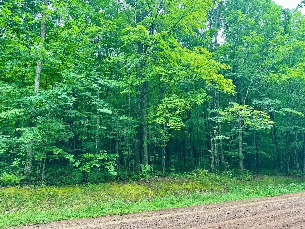 Photo 3 of Land for sale at Lot 3 Crane Ft Lake Rd, Gleason, WI 54435 | MLS# 22603954 | Listing updated on 2026-10-12