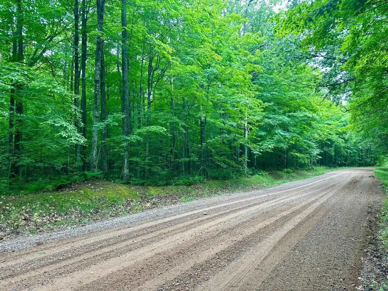 Photo 4 of Land for sale at Lot 3 Crane Ft Lake Rd, Gleason, WI 54435 | MLS# 22603954 | Listing updated on 2026-10-12