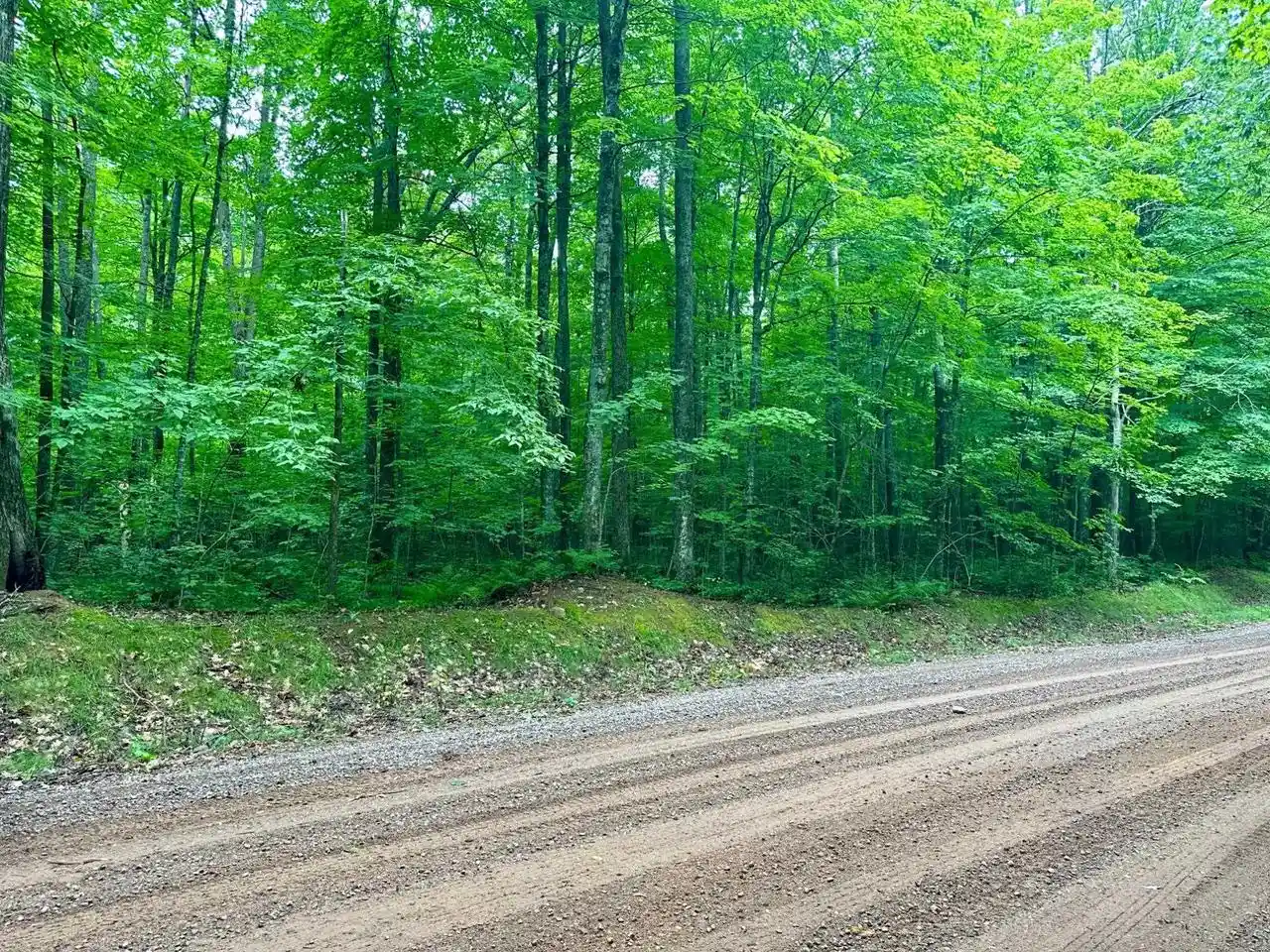 8th image of Lot 3 Crane Foot Lake Road Road, Gleason, WI 54435 | MLS# 22603954