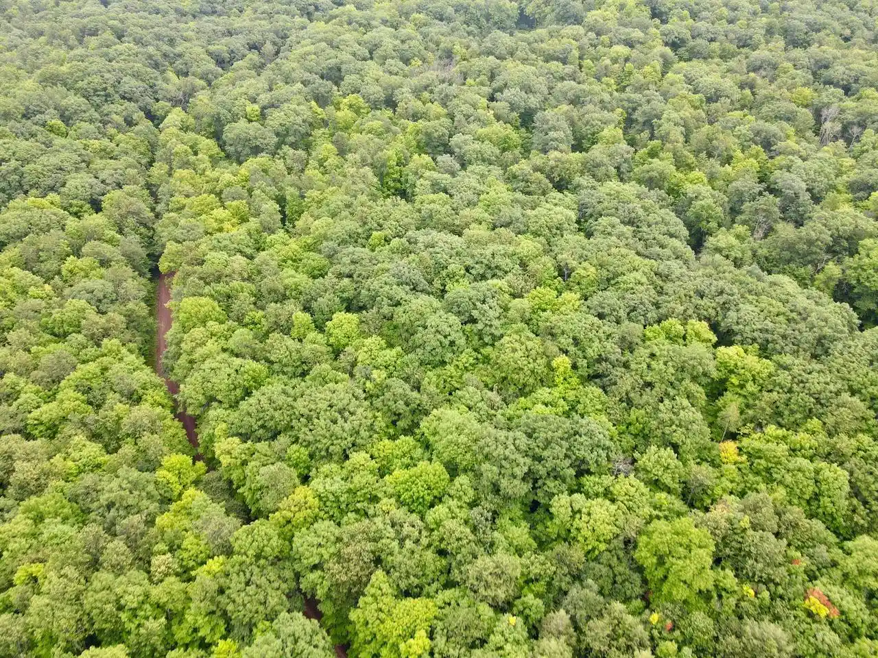 1st image of Lot 4 Crane Foot Lake Road Road, Gleason, WI 54435 | MLS# 22603955