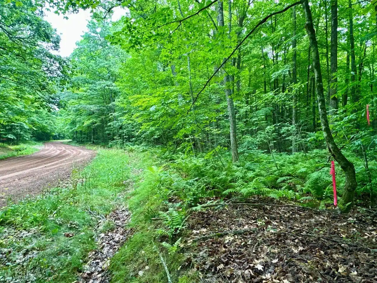 Photo 2 of Land for sale at Lot 4 Crane Ft Lake Rd, Gleason, WI 54435 | MLS# 22603955 | Listing updated on 2026-10-12