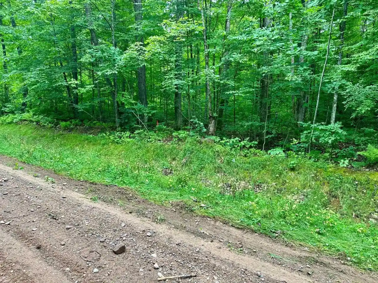 Photo 3 of Land for sale at Lot 4 Crane Ft Lake Rd, Gleason, WI 54435 | MLS# 22603955 | Listing updated on 2026-10-12