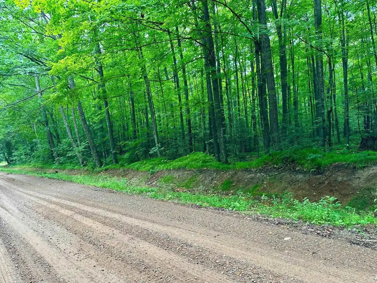 Photo 4 of Land for sale at Lot 4 Crane Ft Lake Rd, Gleason, WI 54435 | MLS# 22603955 | Listing updated on 2026-10-12