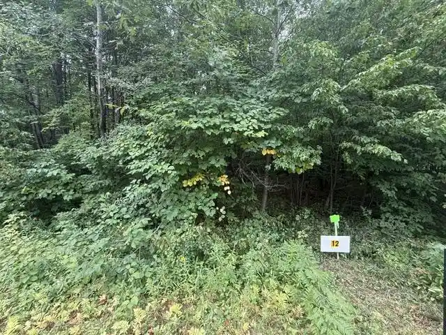 4th image of Lot 12 Burma Road Road, Mosinee, WI 54455 | MLS# 22603959