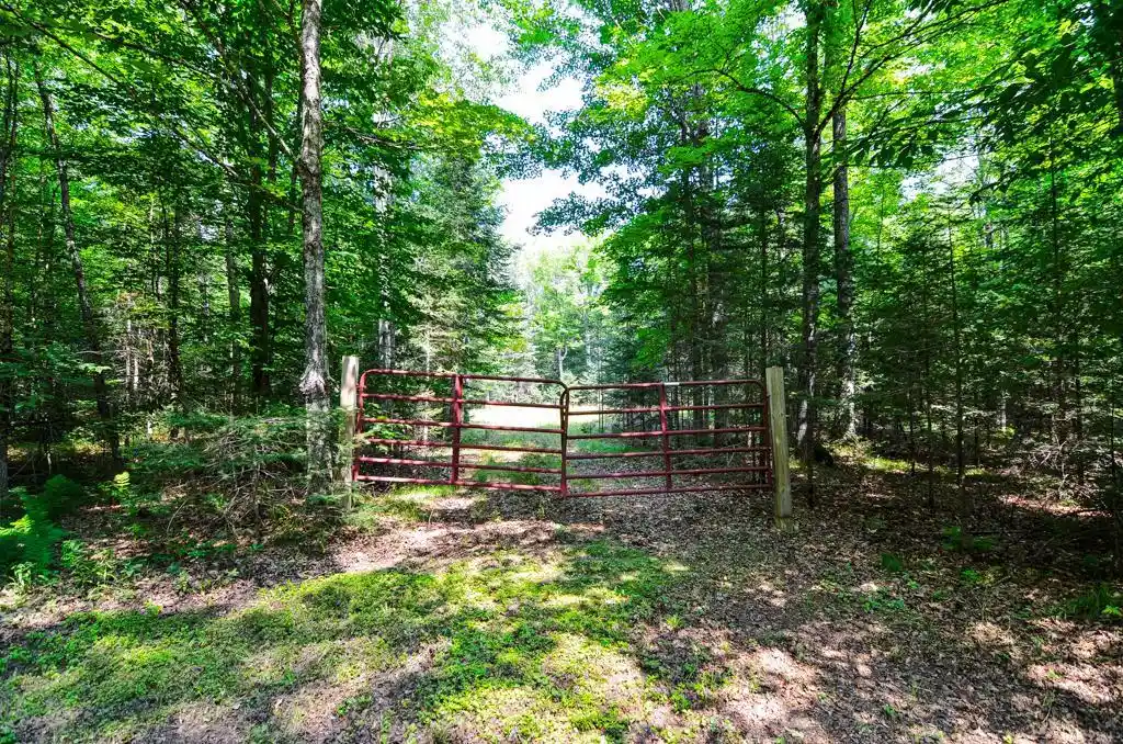 1st image of W15310 Old J Road Road, Athelstane, WI 54104 | MLS# 50331057