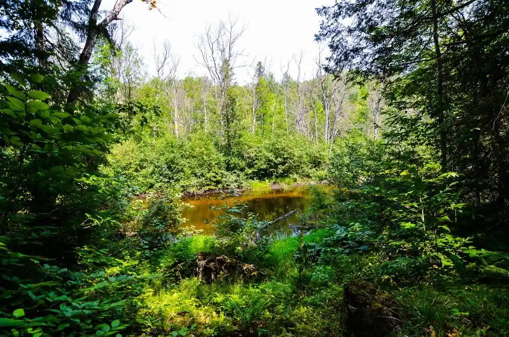 4th image of W15310 Old J Road Road, Athelstane, WI 54104 | MLS# 50331057