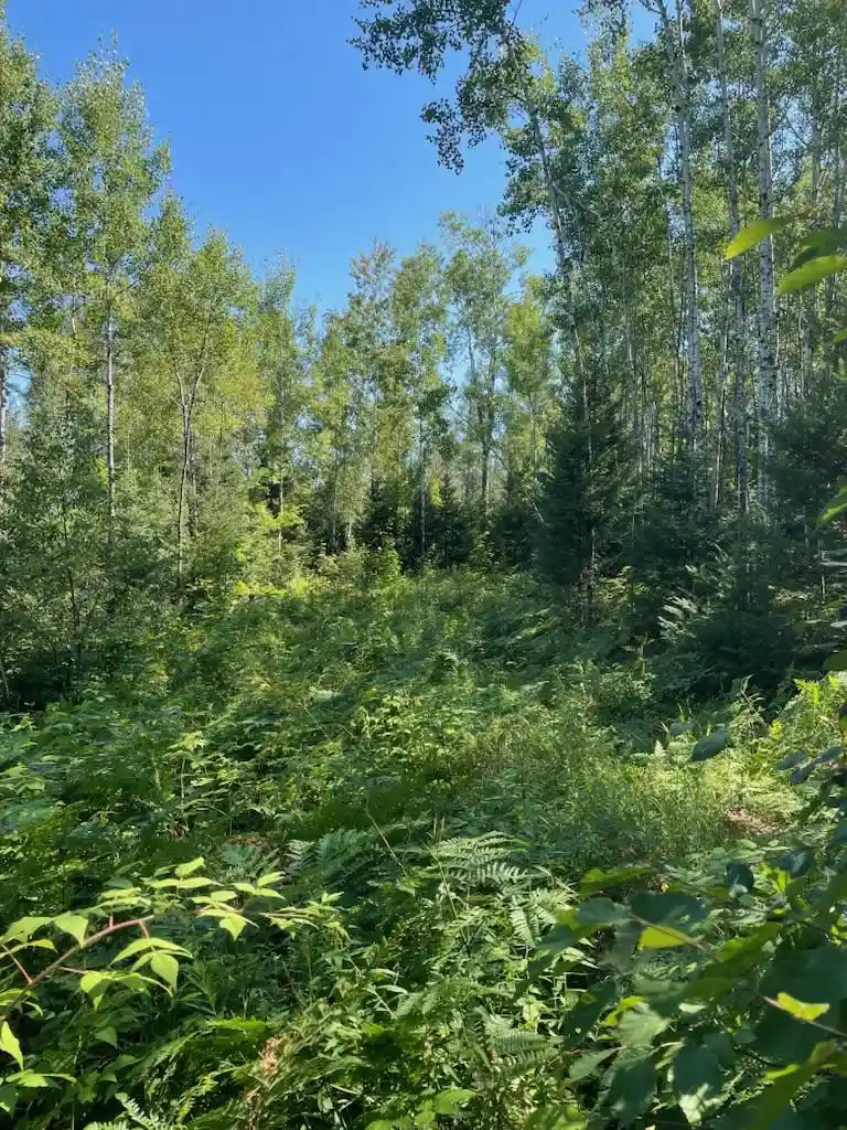 1st image of W Herzog Road Road, Iron Mountain, MI 49801 | MLS# 50331064