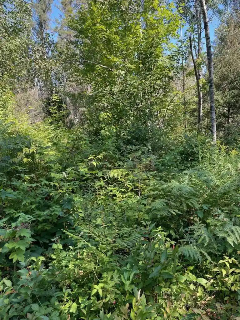10th image of W Herzog Road Road, Iron Mountain, MI 49801 | MLS# 50331064