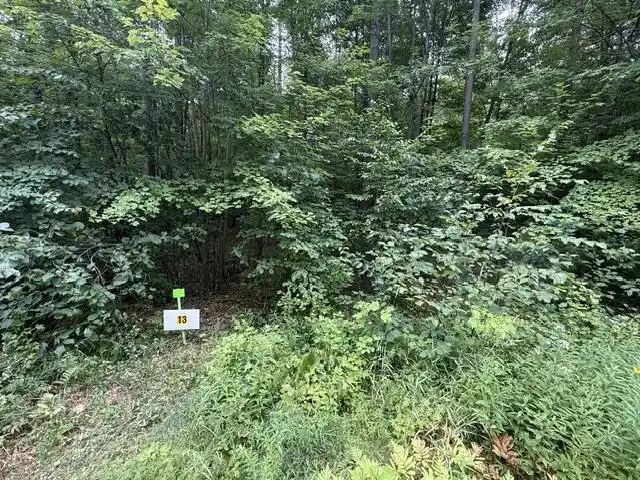3rd image of Lot 13 Burma Road Road, Mosinee, WI 54455 | MLS# 22603964