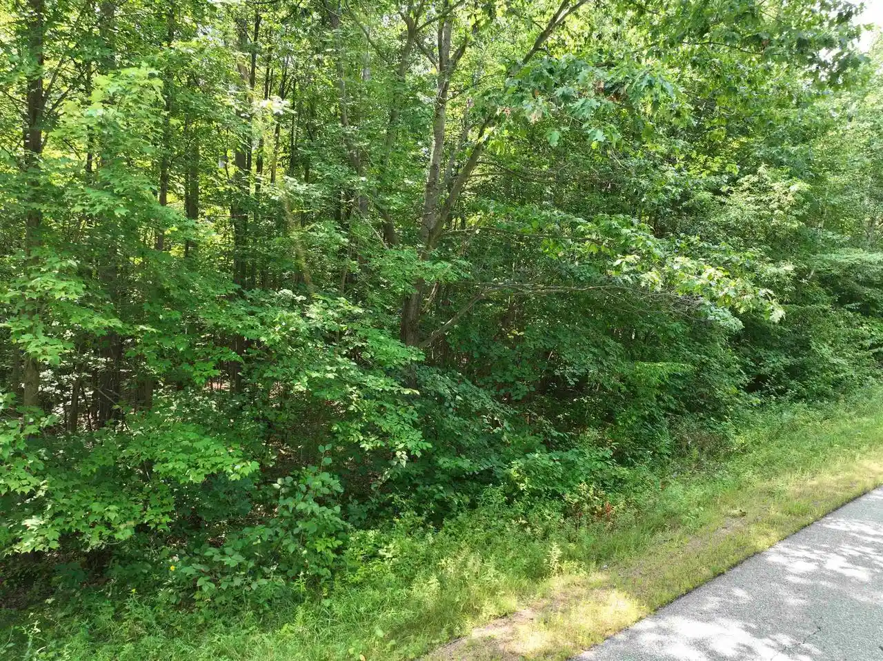 6th image of Lot 13 Burma Road Road, Mosinee, WI 54455 | MLS# 22603964