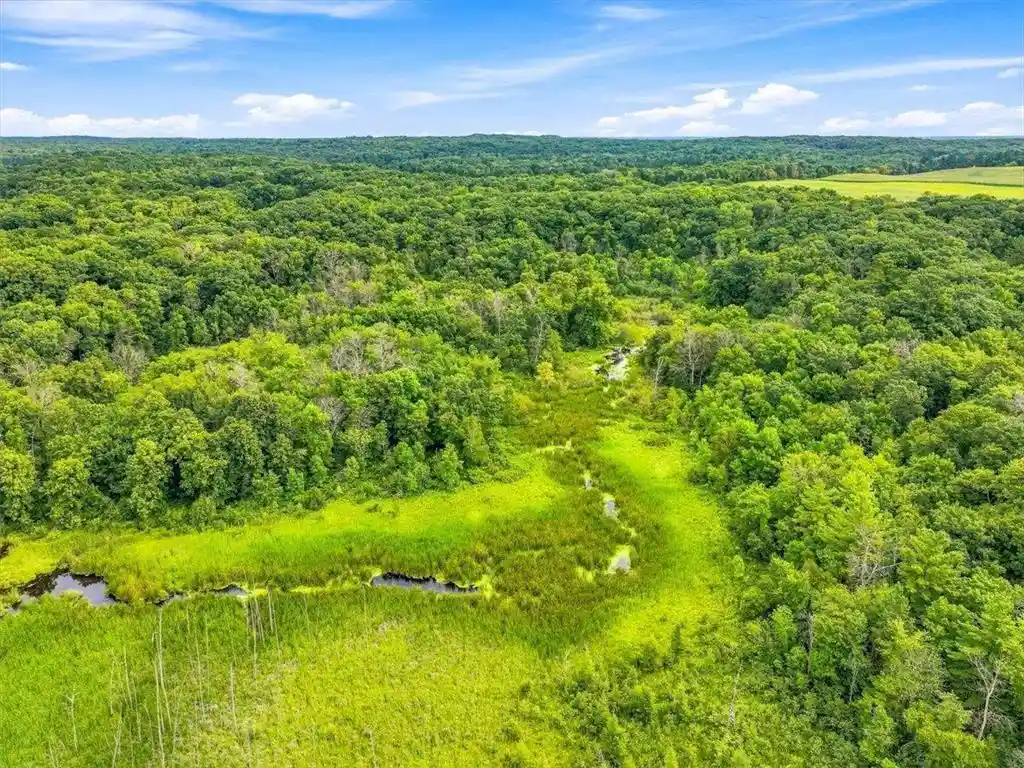 13th image of Tbd 105th Avenue, Amery, WI 54001 | MLS# 7127850