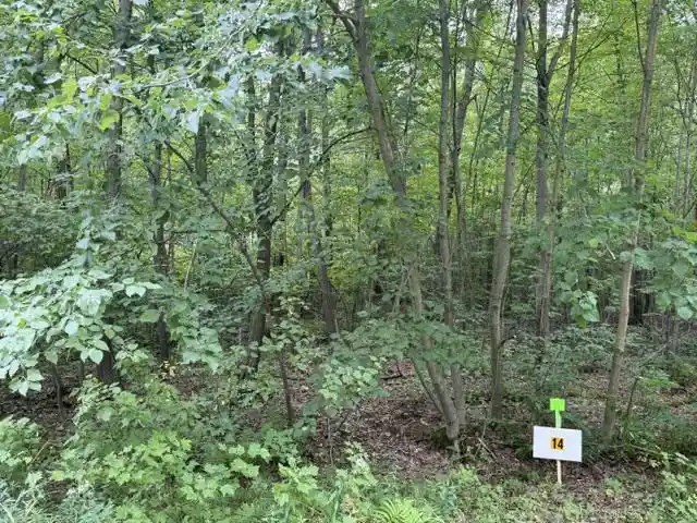 2nd image of Lot 14 Burma Road Road, Mosinee, WI 54455 | MLS# 22603972